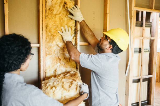 Best Insulation for Commercial Buildings  in USA